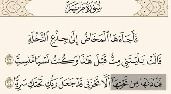 هل تعلم من هو المنادي الذي نادى مريم فى قوله تعالى فناداها من تحتها .. هل توقعت هذه الاجابة؟