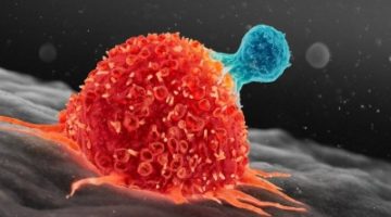 علماء بريطانيون يطورون عقار لعلاج نوع مميت من السرطان.. ويكشفون أهم نتائجه السحرية