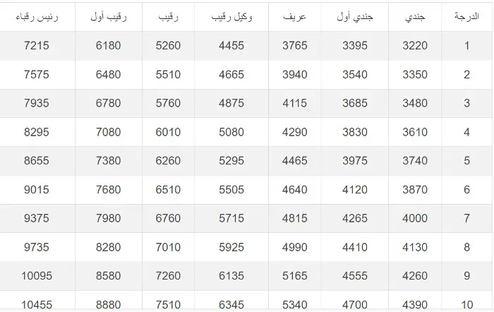 السعودية ترفع رواتب الموظفين في هذه المهن وهذا هو سلم الرواتب الجديدة!