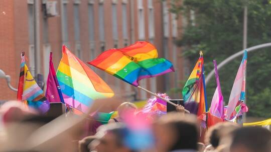 رسمياً : ثالث دولة آسيوية تقر زواج المثليين والمفاجأة من تكون ؟!